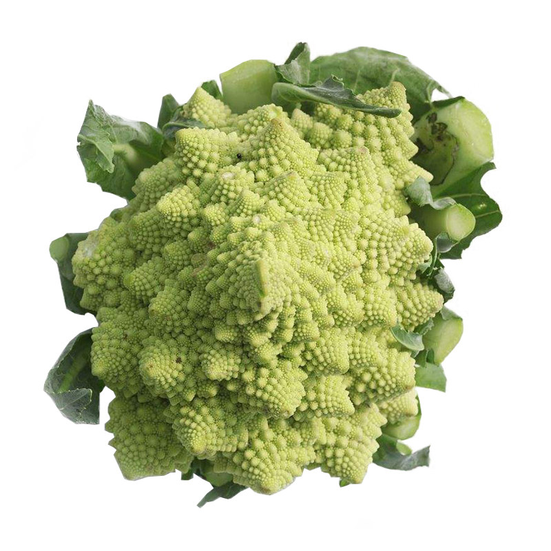 菜花宝塔花椰菜种子优质花菜佛头种籽有机春季家庭园艺种子