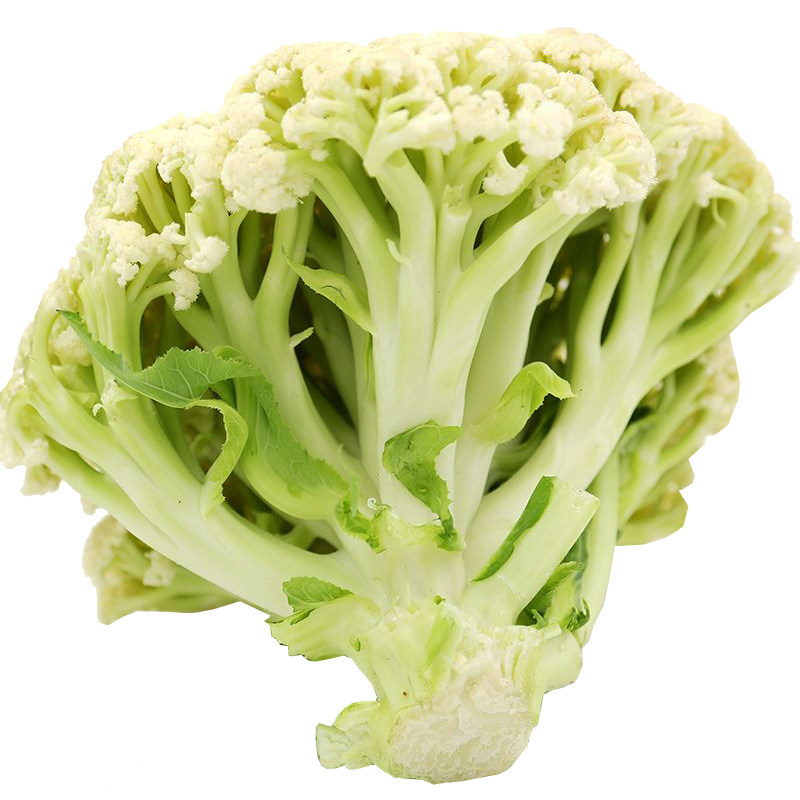 有机花菜种子青梗松花菜花椰菜有机菜花高产蔬菜秋季播蔬菜籽包邮