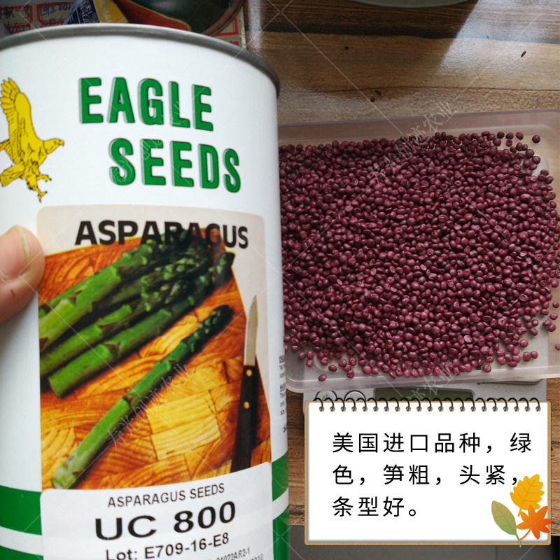 进口五彩红甜椒黄圆椒太空方椒种子种苗菜园四季种植易活盆栽包邮