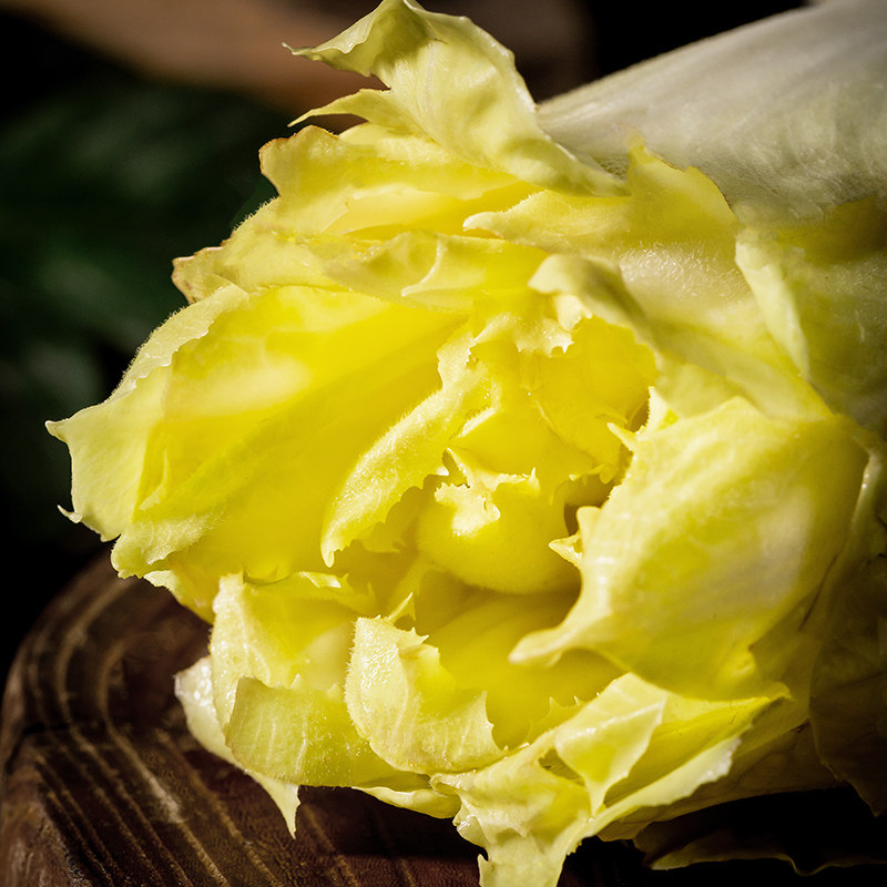 悟空家金玉兰2斤新鲜芽球菊苣低脂轻食素食沙拉其它