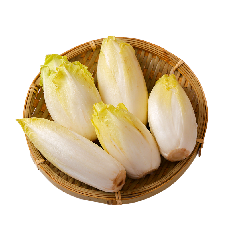 悟空家金玉兰2斤新鲜芽球菊苣低脂轻食素食沙拉其它