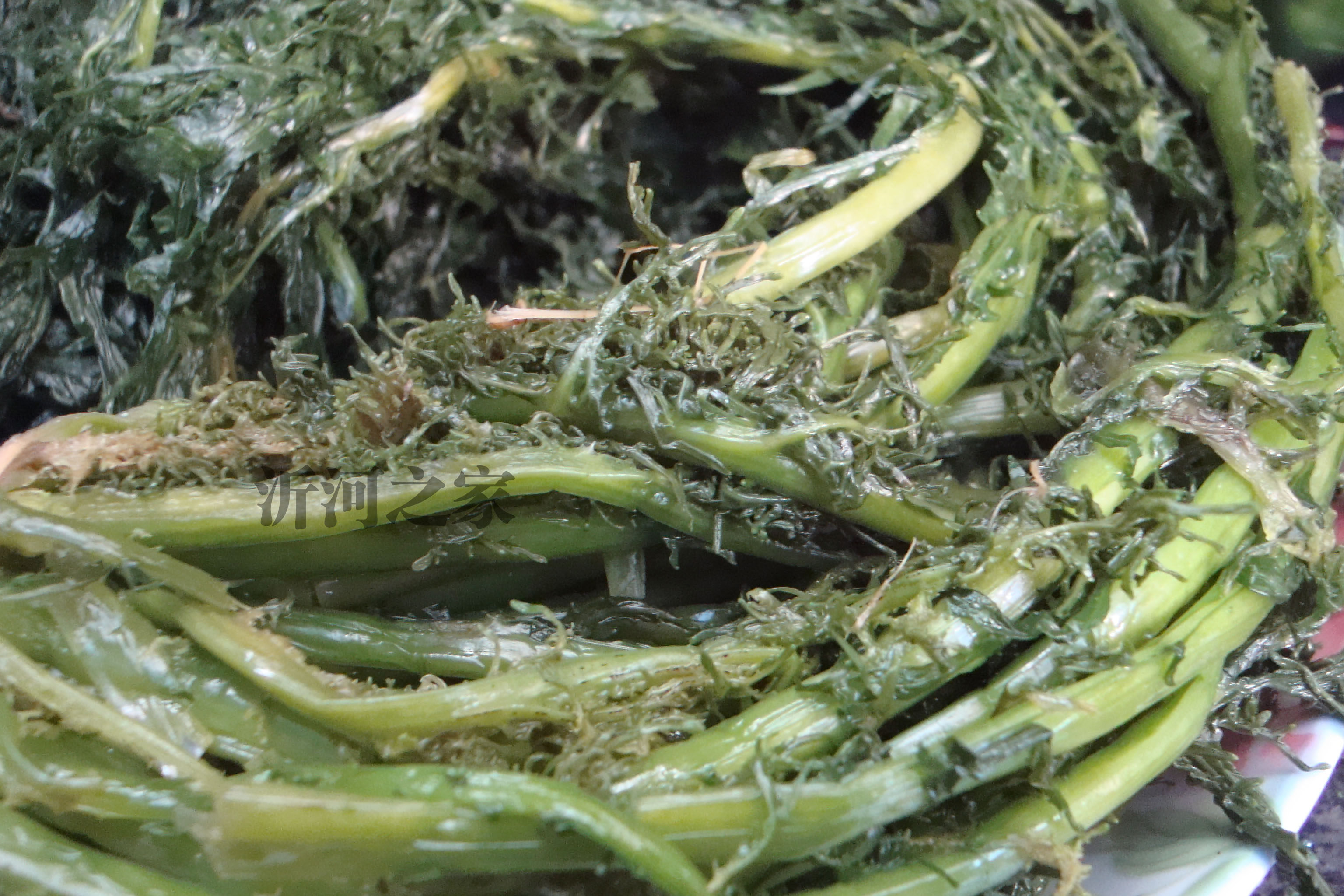 辣椒雪里红徐州雪里蕻新鲜雪菜自制腌制250g其它