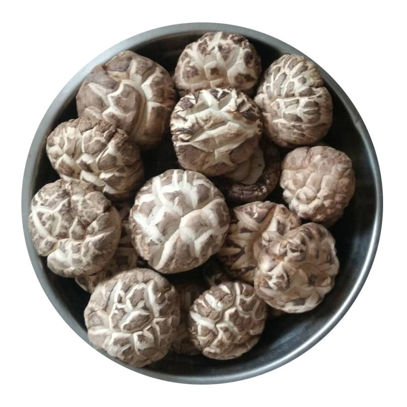 一斤西峡农家土特产小冬菇花菇干货