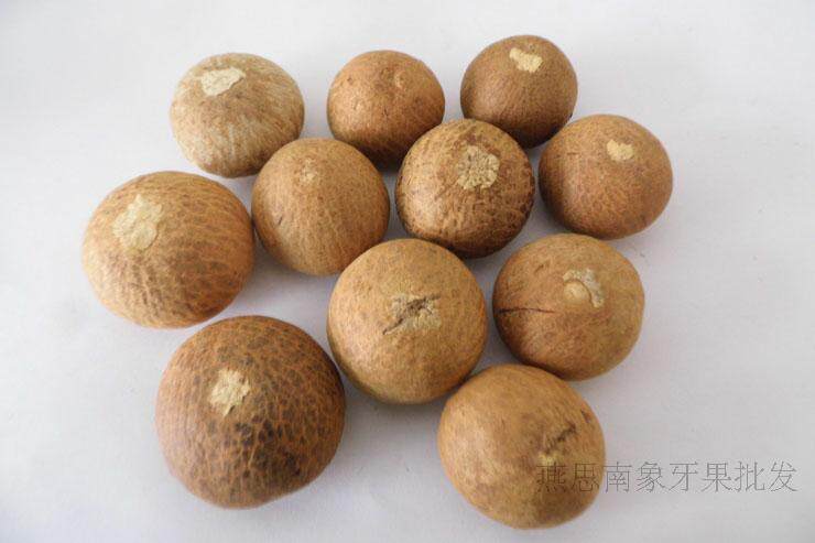 金丝菩提子原籽原料果散珠散籽血丝菩提 2元一个天然持珠念珠材料