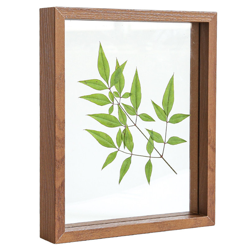 创意玻璃相框摆件双面透明植物标本叶夹diy画框像框房间桌面摆设