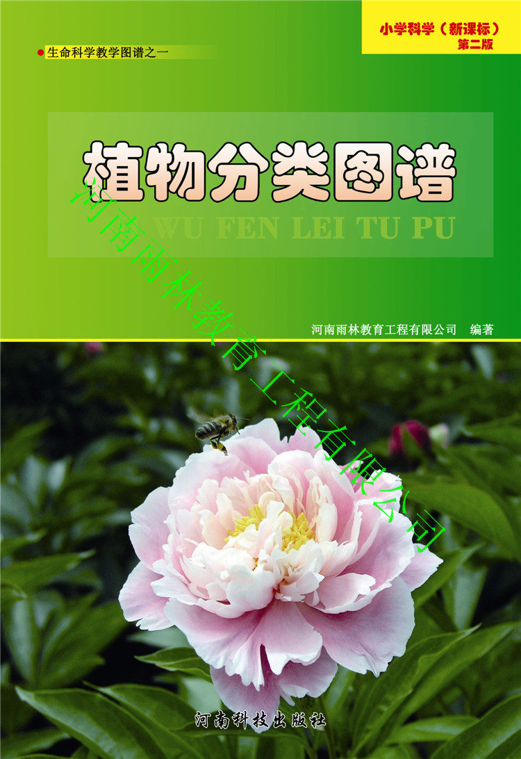 59008植物分类图谱 中小学教学认知使用 小学科学 16开 全彩色