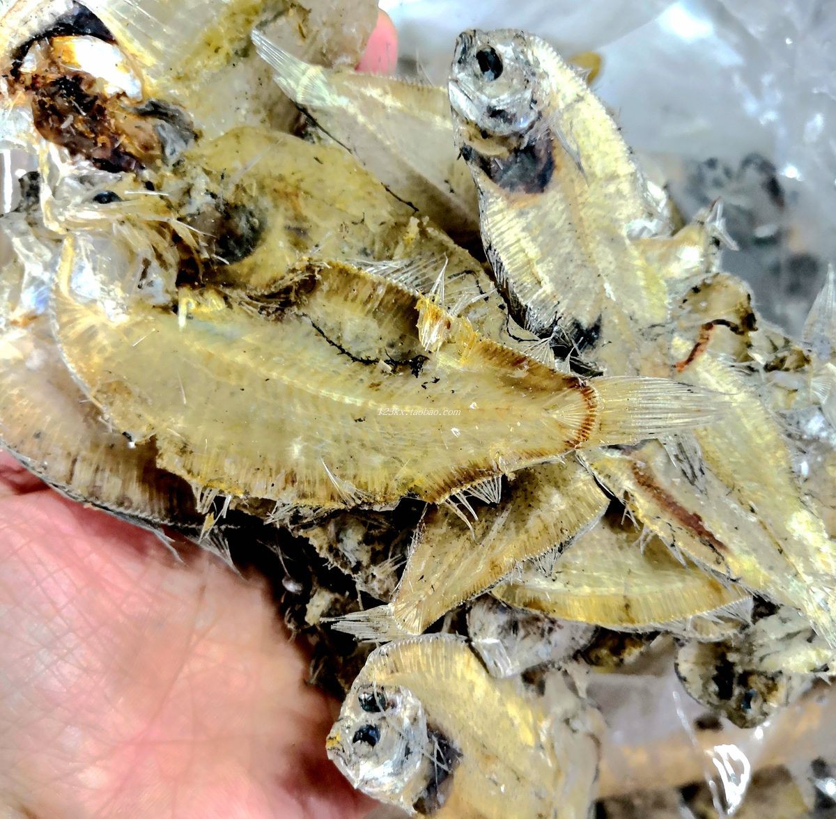 鱼干潮汕特产潮州蹄脯大地香料沙锅配料佐料鱼干