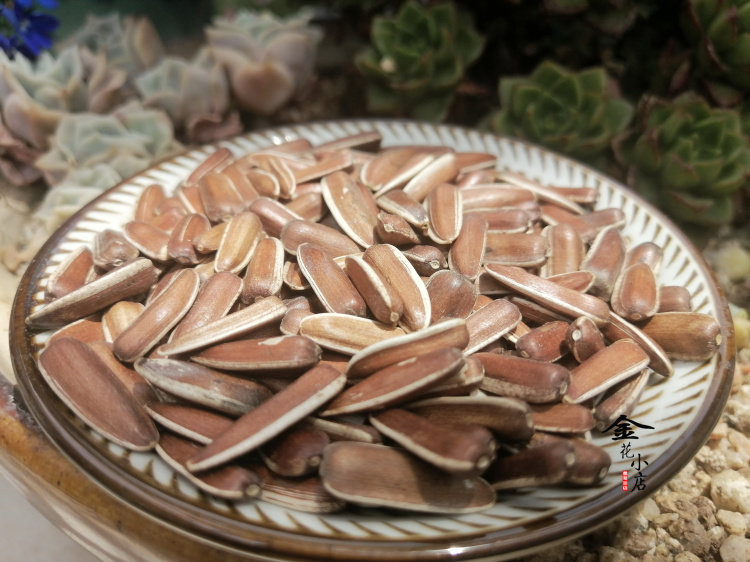 新货云南大理生红瓜子红向日葵花籽葵花子零食坚果零食500克清甜