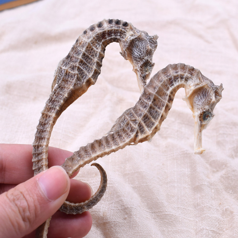 海马干中药材泡酒料海马干货一对4g三斑海马滋补品买十对送一包邮