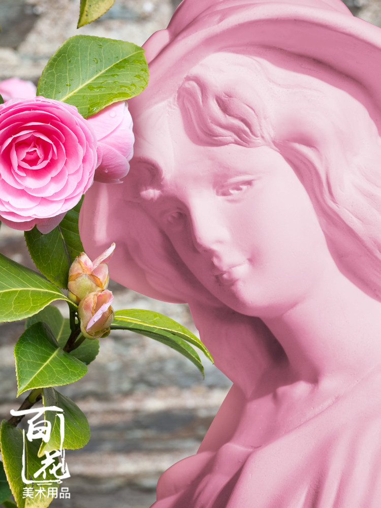 茶花女35cm石膏美术写生教具静物绘画素描头像石膏像