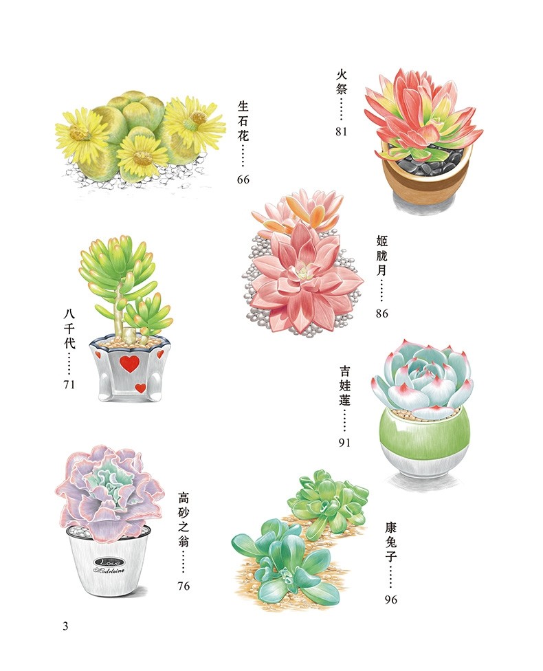 【9年猫店】浪漫彩铅系列 多肉植物 36种梦幻植物绘 彩铅绘画入门基础