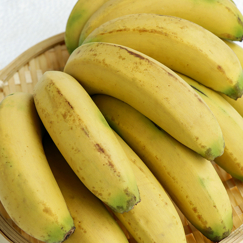 福建闽南漳州农家种植香甜粉糯品种香蕉新鲜香蕉