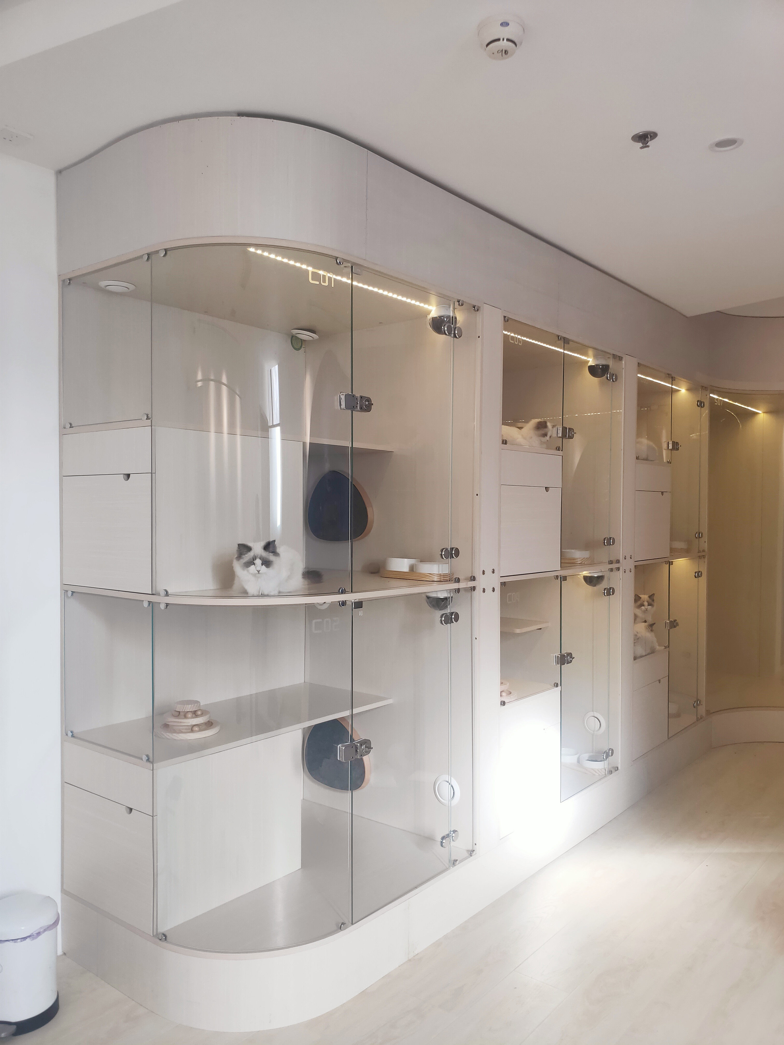 宠儿佳新款实木猫别墅超大空间防水猫舍宠物店寄养猫展柜网红猫屋