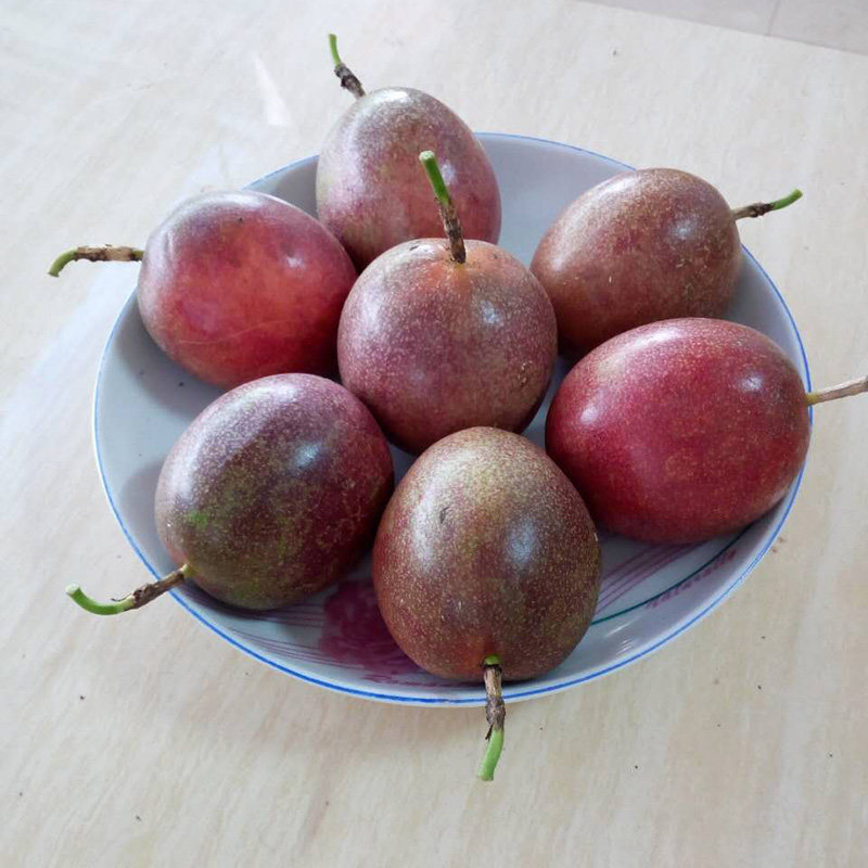 广西特产新鲜百香果百花果大果5斤包邮西番莲酸爽香甜热带水果