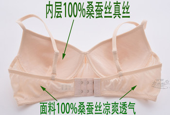 Hangzhou 100% ຜ້າໄຫມ 6A grade mulberry silk bra ຜ້າໄຫມ double-sided no wire bra ຂອງແມ່ຍິງກິລາ bra ສະດວກສະບາຍ