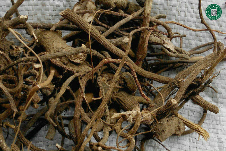 娘伞树 马胎根 矮脚浪伞 铁凉伞 小凉伞 大罗伞根部 500g 2件包邮