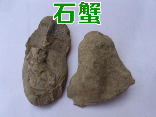 中药材石蟹化石大石石螃蟹螃蟹500g包邮其他药食同源食品