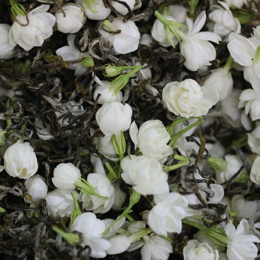 福州茉莉花茶八窨白毛特级新茶传统经典冰糖甜可茉莉花茶