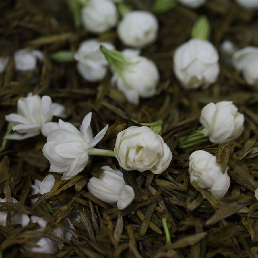 茉莉大方安徽炒青绿茶窨制福州茉莉花新茶传统茉莉花茶