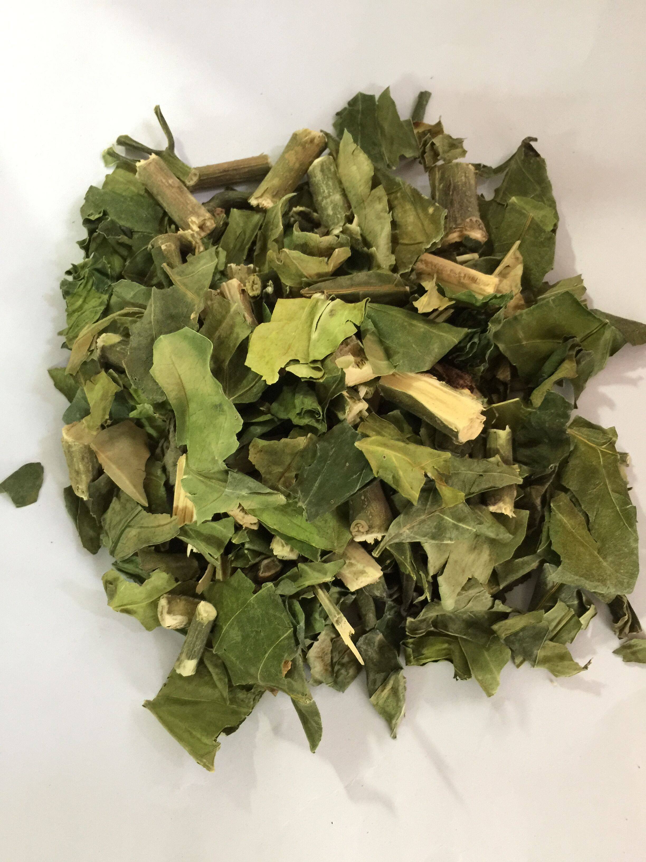 大驳骨野生中药材还魂草驳骨丹接骨木干货500g包邮店另有小驳骨