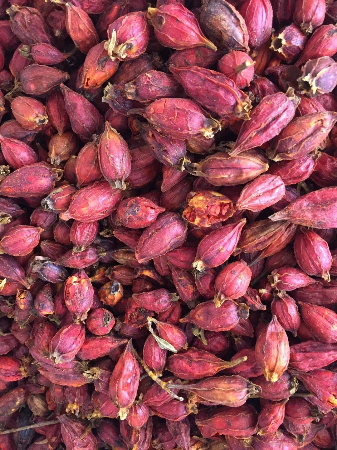 野生中药材特级山栀子 干茶枝子桅子花茶泡茶 上色卤菜500g包邮