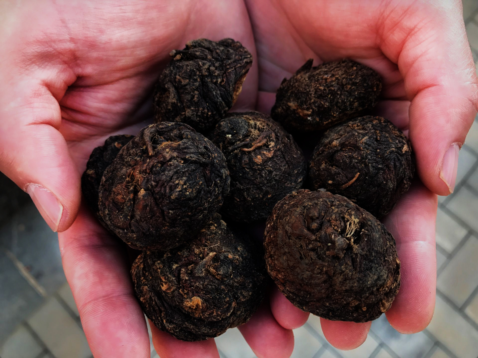 玛卡玛咖秘鲁野生干果干片正品非特特级中药材玛咖干