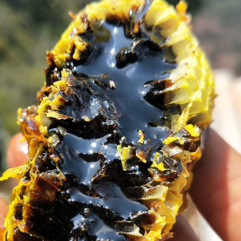 93云南高山黑蜜 米团花蜜 野生土蜂蜜深山成熟天然