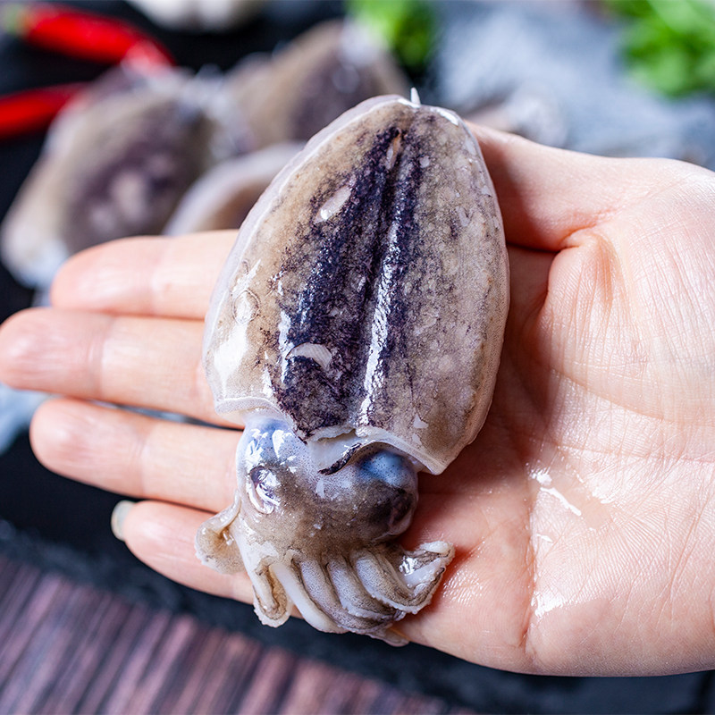 新鲜小墨鱼仔鲜乌贼海鲜水产鲜活墨斗鱼冷冻深海冷冻墨鱼