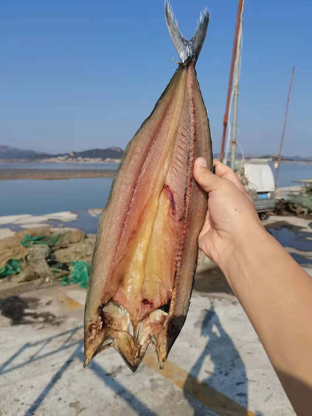 青岛崂山王哥庄田甜晒鲅鱼干无盐添加渔家海水鱼干
