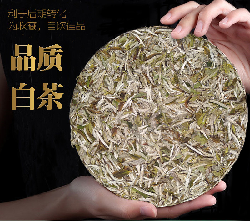 白茶福鼎饼白毫银针福建茶叶2019新茶春茶明前白毫银针