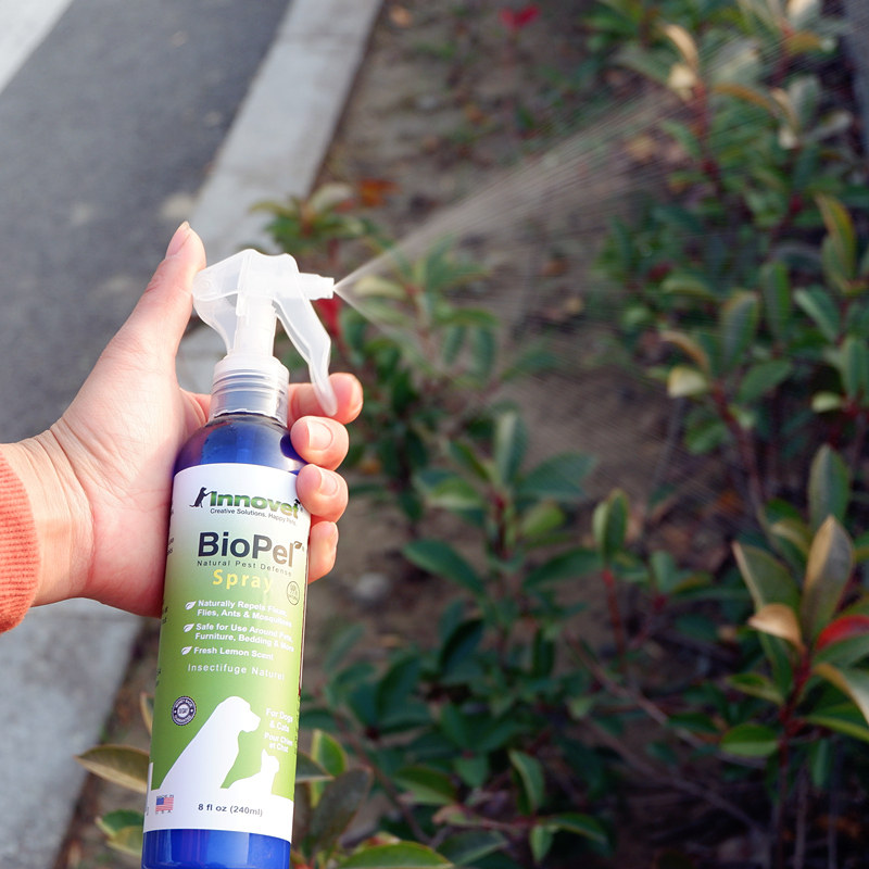 原装进口innovet伊诺特猫狗体外驱虫防虫喷剂跳蚤喷雾皮肤喷剂