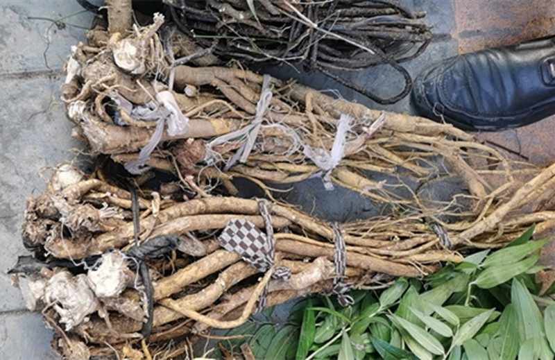 贵州草药野生苦参根片 中药材山槐根纯天然风干苦骨茶地参片500克