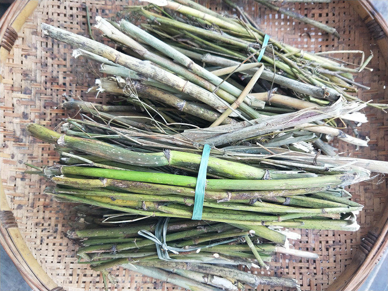 新晒干货小茴香50g包邮贵州特产小怀香丝菜谷花椒