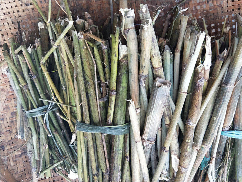 新晒干货小茴香50g包邮贵州特产小怀香丝菜谷花椒