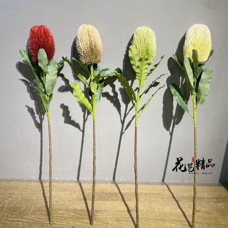 班克南非帝王花软插花装饰橱窗家居摆放造景干花