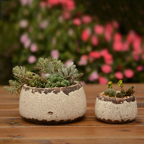 粗陶多肉植物花盆复古做旧欧式日式韩式陶土花盆