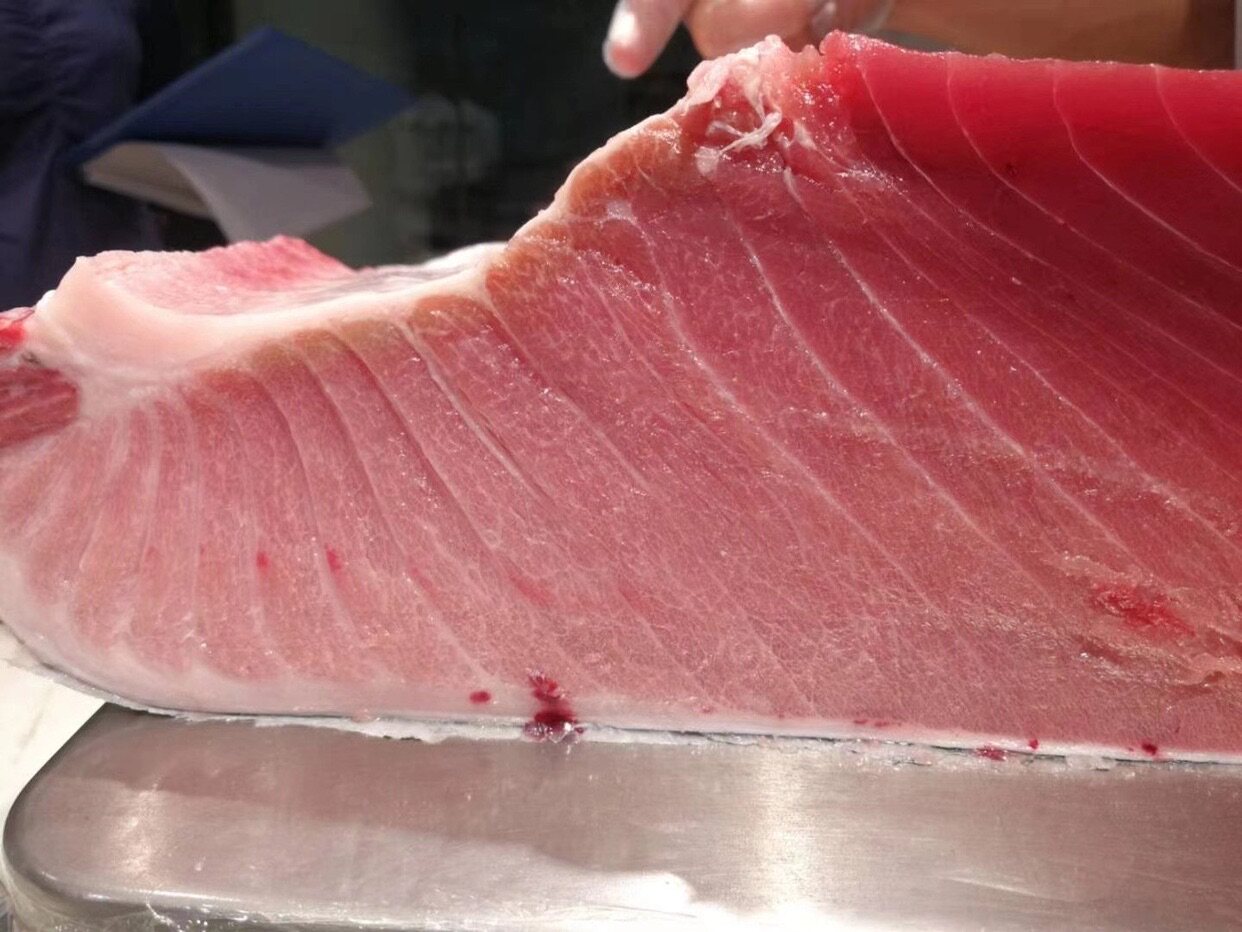 现杀空运现卖当天蓝旗金枪鱼大腹500克包邮顺丰金枪鱼