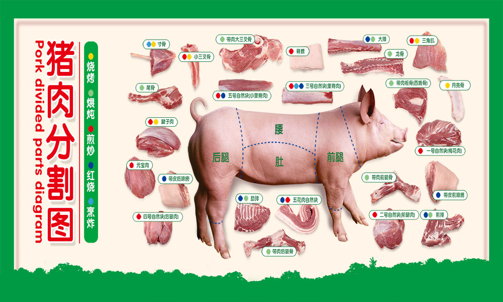 猪肉部位分割图详解图片