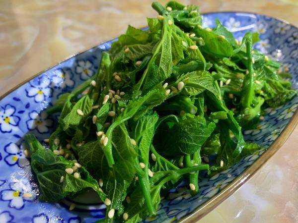 桑叶速冻桑芽汤桑苗凉拌食材特色酒店餐厅送一凉菜