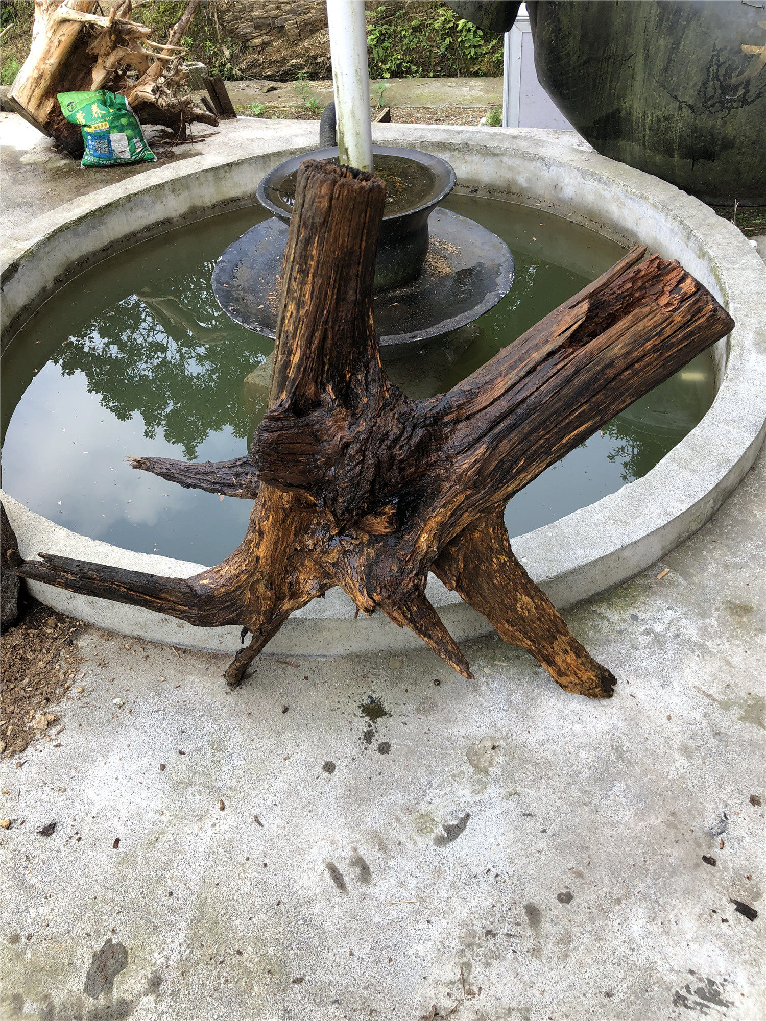 天然枯木树根摆件造景多肉花盆风化木头爬宠台摆件