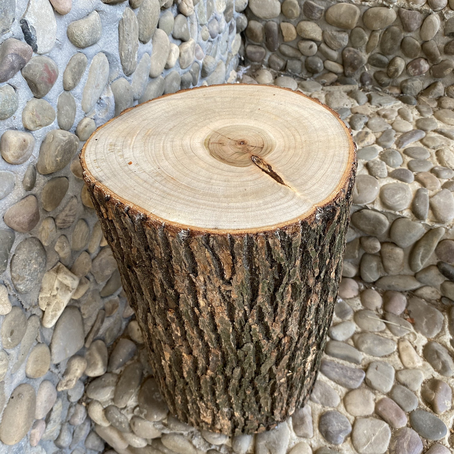 凳子樟木实木根雕树桩树根木墩原木木雕