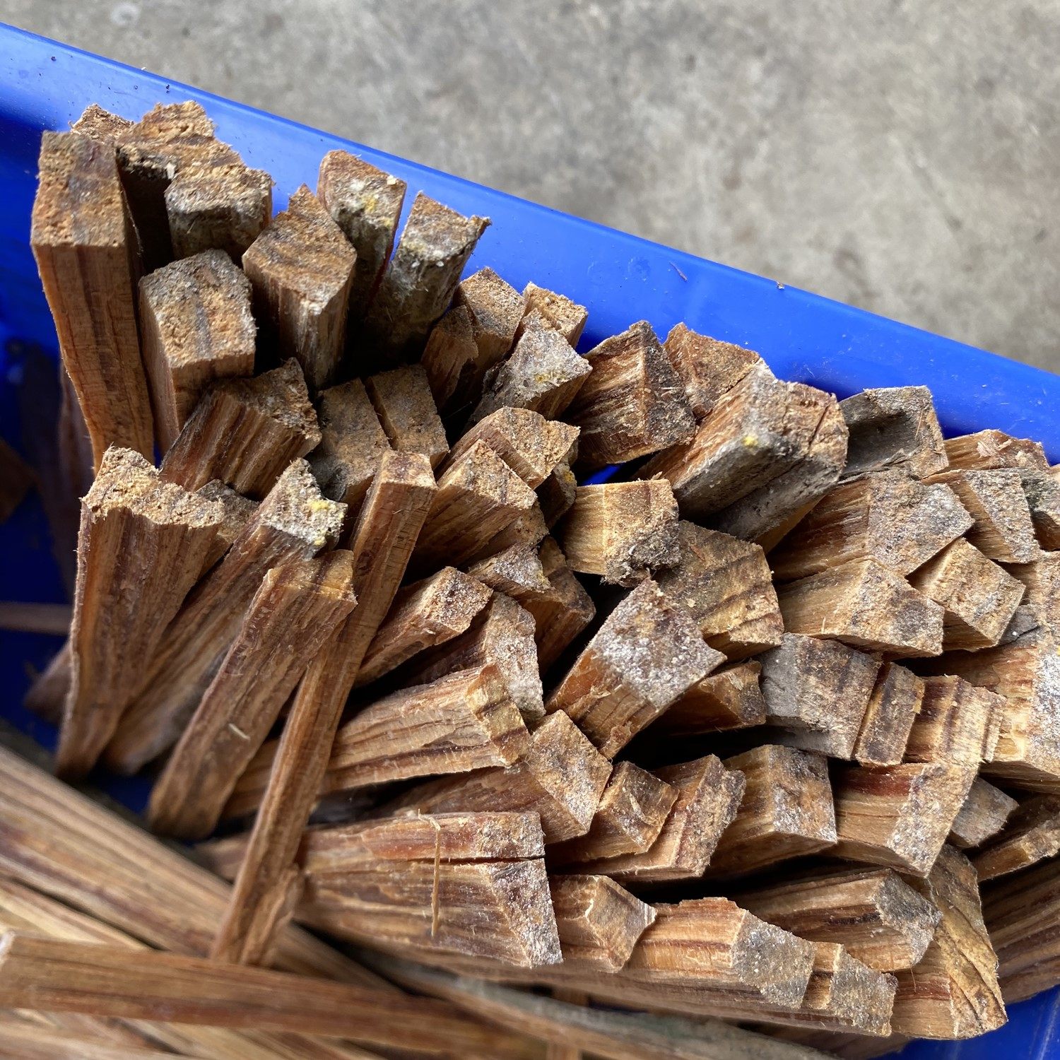 明子松明火种松树松木引火厨房烧烤点火工具打火机