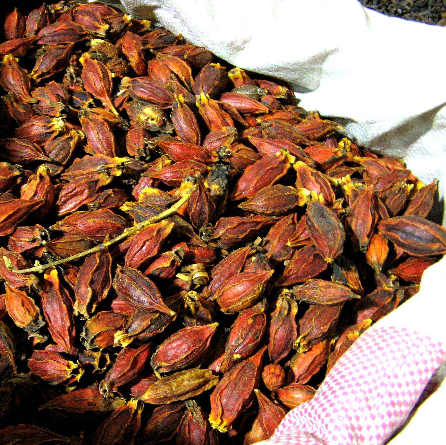 栀子5斤包邮 山栀子 黄栀子 中药材 红栀子 500克10元