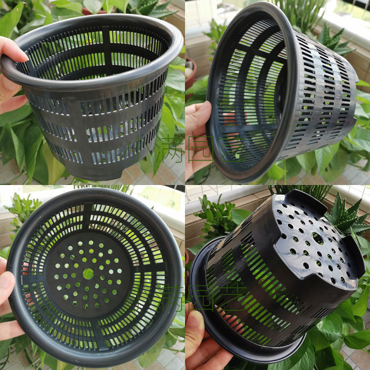 蝴蝶兰控根花盆洋兰石斛苗兰盆专用透气多孔卡特兰花盆