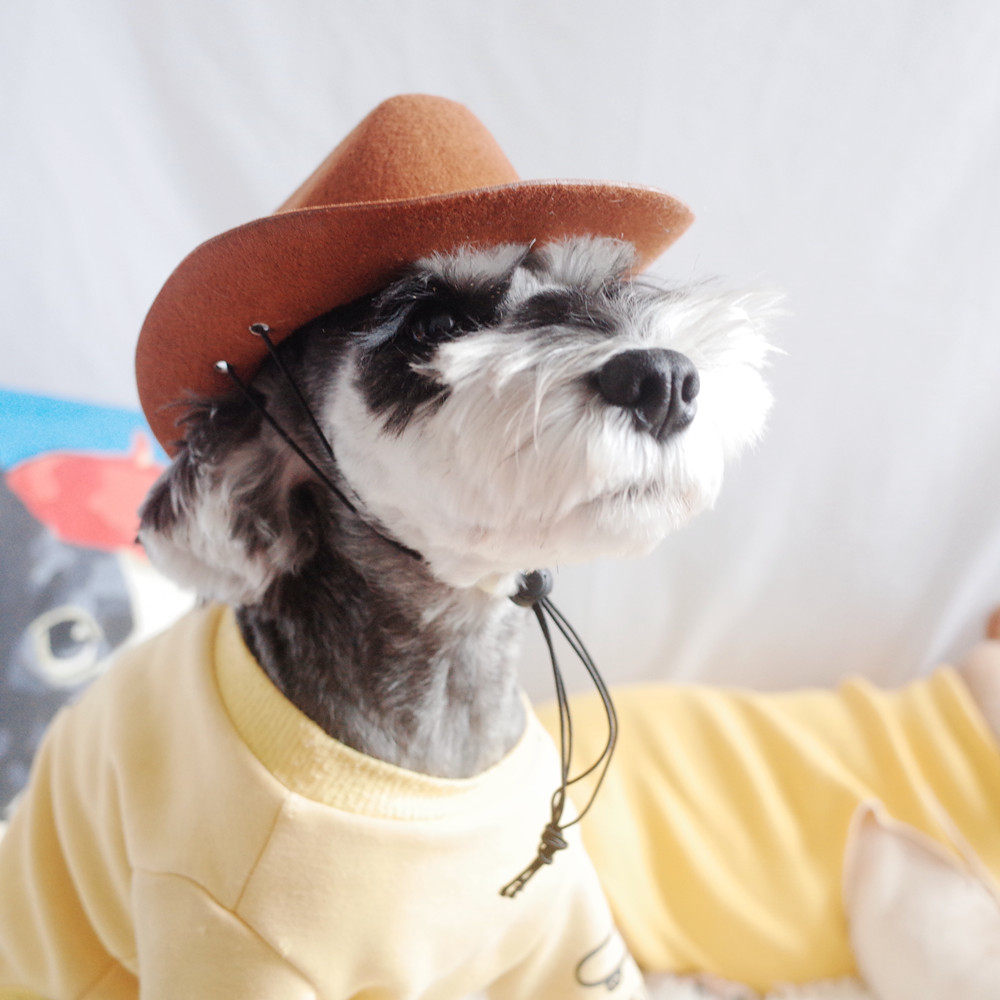 帽子狗狗宠物拍照饰品牛仔帽百搭法斗纳瑞金毛帽子