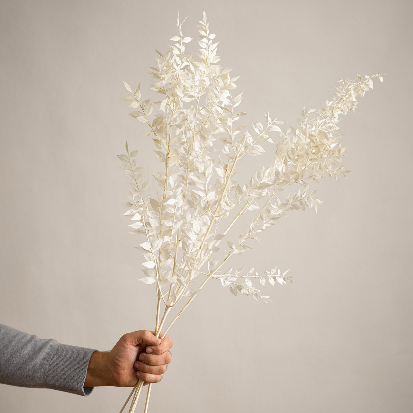 ins永生花富贵叶真花干花花束搭配拍摄道具装饰品永生花