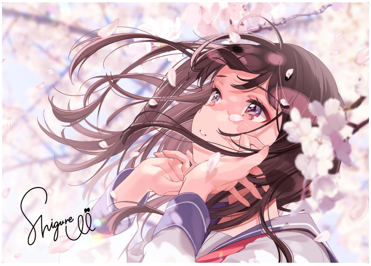二次受注预约时雨羽衣画展复制原画动漫卡牌