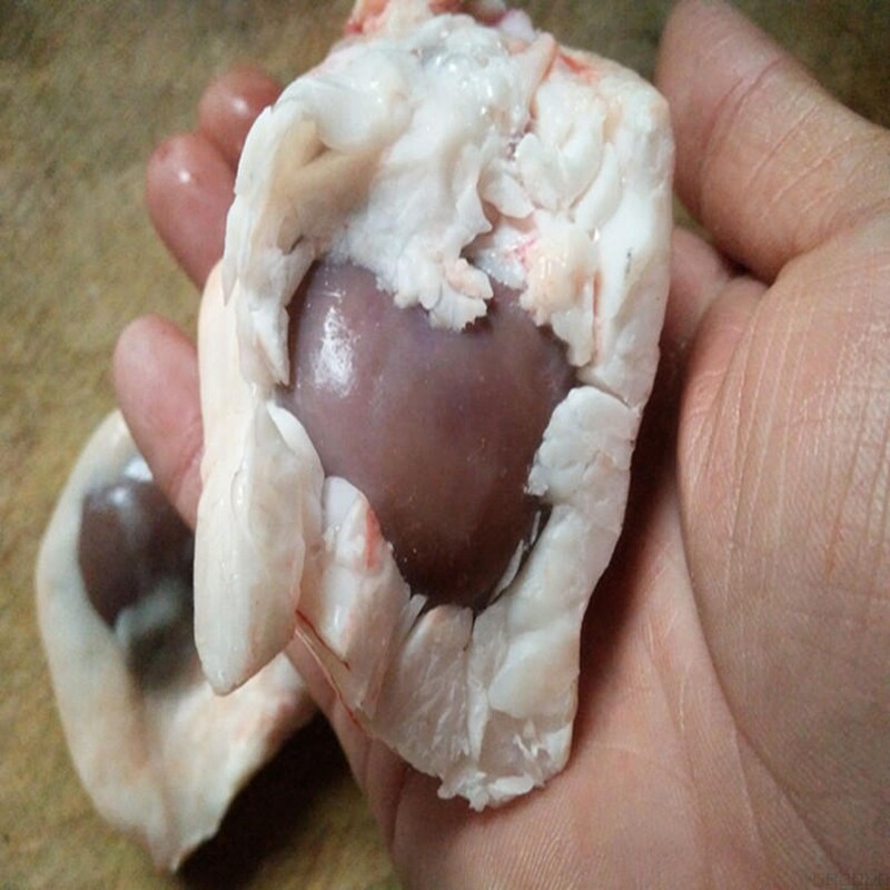 生鲜腰子10个羊肾烧烤冷冻羊内腰羊红腰宁夏生羊肉