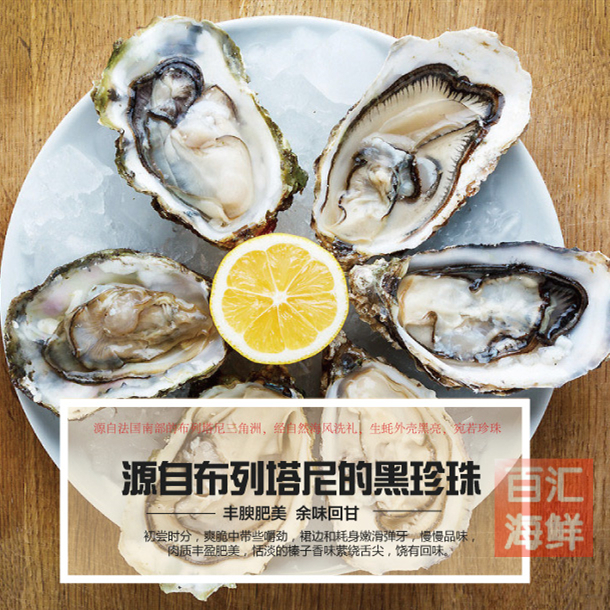 法国黑珍珠生蚝5只起售进口鲜活开壳刺身即食生蚝