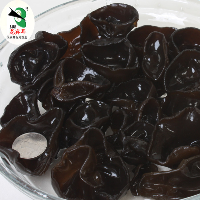 无根肉厚东北特级龙宾耳秋木耳黑龙江土特产东宁黑木耳新货250g